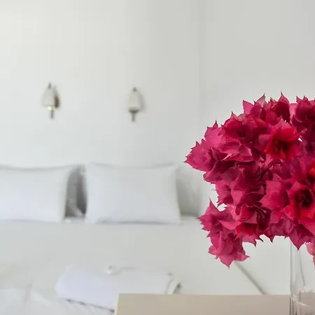 Guest house Village Twins 3*
